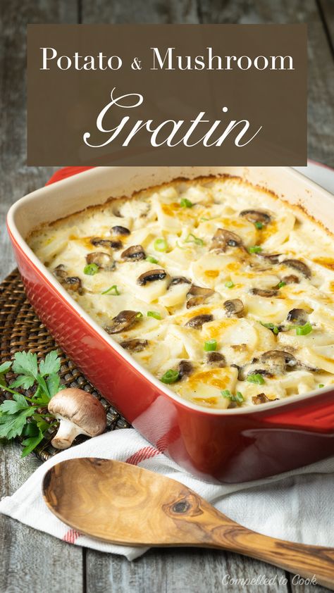 Mushroom And Potato Recipes, Potato Mushroom Recipe, Christmas Entrees, Mushroom Gratin, Casserole Potatoes, Potatoes Gratin, Potato And Mushroom, Cooking Mushrooms, Potato Mushroom