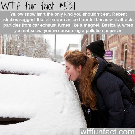 WTF Facts - Page 659 of 1303 - Funny, interesting, and weird facts Snow Eating, Snow Facts, Eating Snow, What The Fact, Wow Facts, Crazy Facts, Cool Facts, Interesting Information, Random Facts