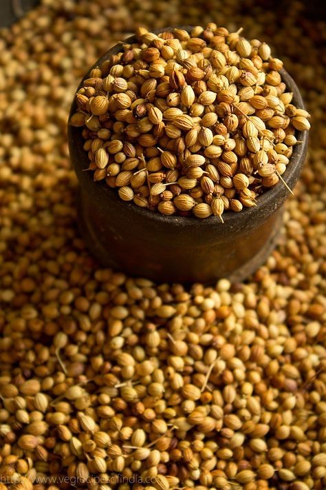 coriander-seeds Growing Coriander, Spices Photography, 7 Spice, Healthy Digestive System, Coriander Powder, Coriander Seeds, Fennel Seeds, Fruit And Veg, Cilantro