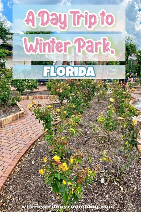 Winter Park Florida Things To Do, Orlando Neighborhoods, What To Do In Florida, Winter Park Orlando, Weekend Market, Winter Resort, Shopping Food, Winter Park Florida, Florida Orlando