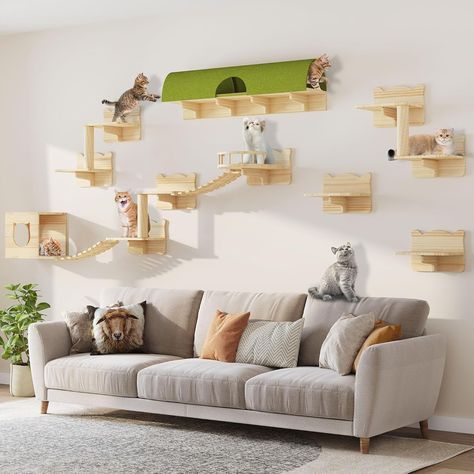 Amazon.com : DWVO Cat Wall Shelves and Perches for Wall, Wooden Wall Mounted Cat Furniture, Set of 9 Cat Climbing Shelves with 1 Cat Wall House, 4 Wall Steps, 2 Bridge Ladder, 1 Cat Scratching Post and 1 Cat Bed : Pet Supplies Cat Wall Mounted Shelves, Cat Wall Inspiration, Cat Walls Living Room, Cat Wall Climbing, Cat Living Room Ideas, Cat Jungle Gym Wall, Cat Shelves Diy Climbing Wall, Cat Climbing Wall Shelves, Apartment Cat Ideas