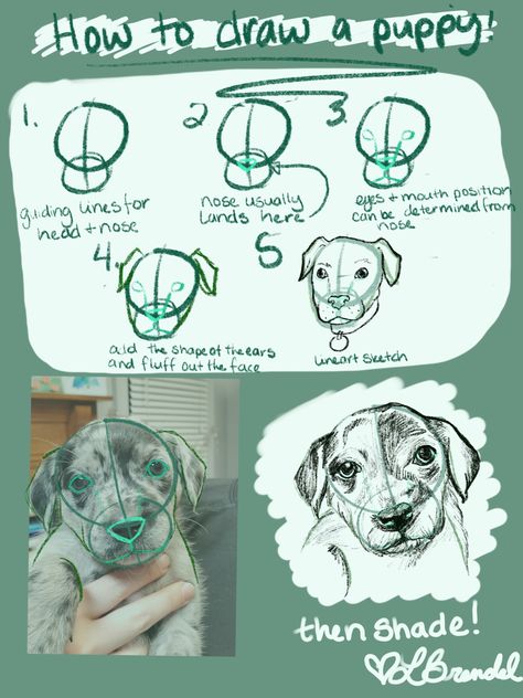 5 step guide for drawing dogs Semi Realistic Dog Drawing, Realistic Dog Drawing, Drawing Semi Realistic, Atlanta Artist, Semi Realistic, Dog Drawing, Quick Guide, Drawing Stuff, A Puppy