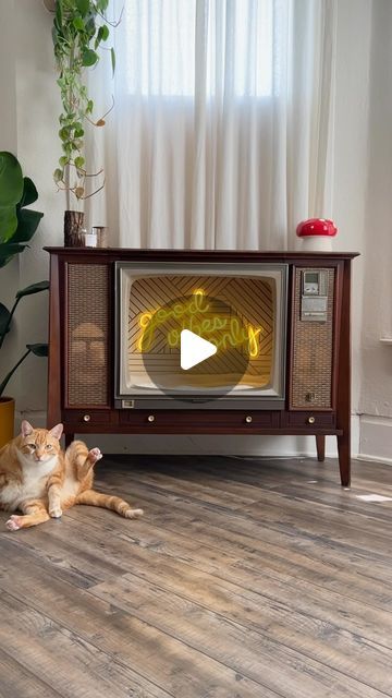 Adriana Camacho on Instagram: "Watch the full transformation on my YouTube Channel!
I turn this vintage tv into a stunning cat bed. 🥰

#catbed #tv #repurpose #catsofinstagram #diy #transformation #makeover #midcentury #oldtv #" Vintage Tv Repurposed, Retro Tv Pet Bed, Retro Tv Cat Bed, Old Tv To Cat Bed, Old Tv Cat Bed, Vintage Tv Repurposed Cat Bed, Vintage Tv, Old Tv, Cat Bed