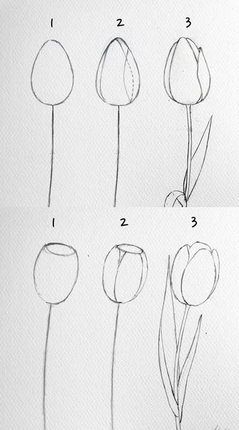 How to draw flowers step by step for beginners | how to draw tulips | how to draw flowers watercolor pencil | how to draw flowers realistic easy sketches #howtodraw #howtodrawflowers #artisthue Drawing Easy Beginner, Sketch Tutorials For Beginners, How To Draw Tulips Step By Step Easy, Easy Beginners Drawings, Drawing Ideas Easy Flowers Step By Step, Easy Paintings For Beginners Flowers, How To Draw An Easy Flower, How To Draw Flower Doodles, Drawings Ideas Easy Step By Step