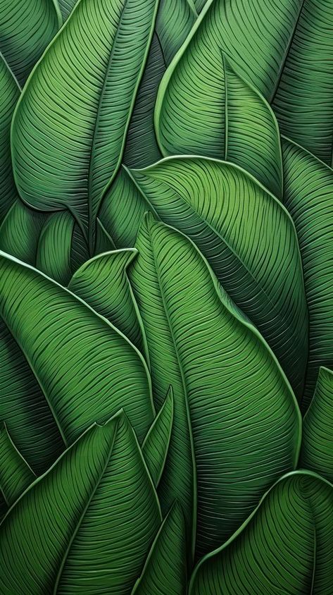 Banana Leaf Background, Iphone Wallpaper Art, Shadow Tree, Banana Leaf Art, Abstract Trees, Palm Tree Plant, Banana Leaf Wallpaper, Leaf Border, Monkey Art