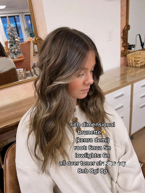 Natural Brown With Lowlights, Highlights Mousy Brown Hair, Level 6 Cool Brown Hair, Fall Hair Toner For Brunettes, Brunette Hair All Over Color, Fall Low Lights For Brown Hair, Going From Highlights To Balayage, Brown Hair With Low Lights And Money Pieces, Brunette Sun Kissed Hair