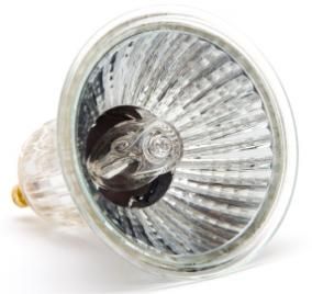 Halogen light bulbs...hot, but supposed to be Mother Earth Living, Halogen Light, Halogen Light Bulbs, Solar Installation, Halogen Lamp, Commercial Lighting, Lamp Bulb, Power Saver, How To Apply Makeup