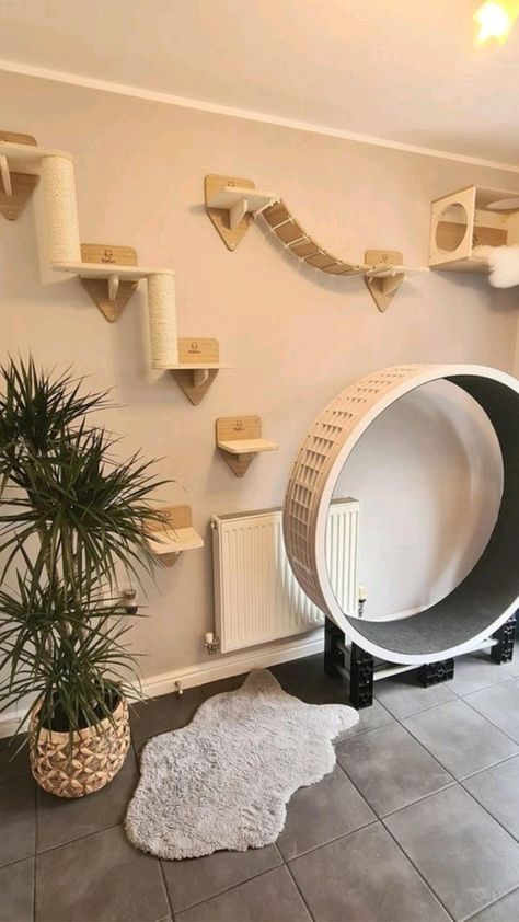 Cat Bridge, Katt Diy, Cat Room Decor, Katt Grejer, Cat Bedroom, Cat Stairs, Cat Patio, Cat Wall Shelves, Cat Wall Furniture