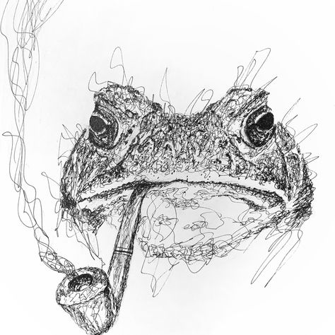 Toad Ink Drawing, Toad Drawing Easy, Toad Inktober, Scribble Art Easy, Toad Drawing, Animal Sketching, Beach Drawings, Mr Toad, Black Ink Art