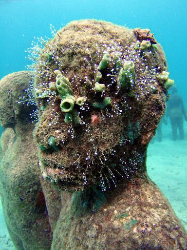 underwater sculpture, 6 months later, Grenada. by Jason deCaires Taylor Jason Decaires Taylor, Underwater Museum, Underwater Sculpture, Under The Ocean, Mystical Places, Underwater Art, Water Adventure, Wild Beauty, Travel Plan