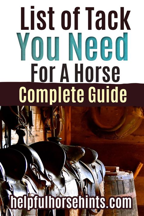 Horse Must Haves, Horse Stuff To Buy, Horse Tack Western, Horse Essentials, Horse Judging, Mini Ponies, Horse Activities, Equine Science, Horse Tack Rooms