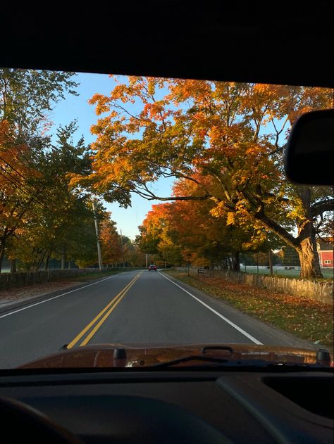 Summer To Fall Aesthetic, Autumn Drive, Fall Drive, Fall Road Trip, Fall Mood Board, Fall Semester, Autumn Magic, Fall 24, Autumn Drives