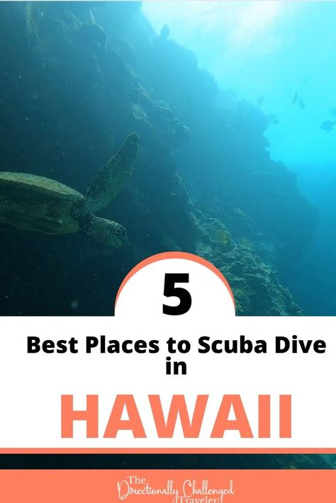 Free Diving, Best Scuba Diving, Honolulu Hawaii, American Travel, Anniversary Trips, What To Pack, Honolulu, Hawaii Travel, Scuba Diving