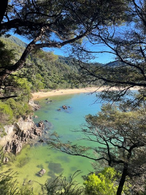 abel tasman tramp tramping walk bush walk view summer sea ocean nature swimming beach mountains Bush Walk, Bush Walking, Brat Summer, Pretty World, New Zealand Trip, Abel Tasman, New Zealand Landscape, Summer Vision Board, 2025 Mood