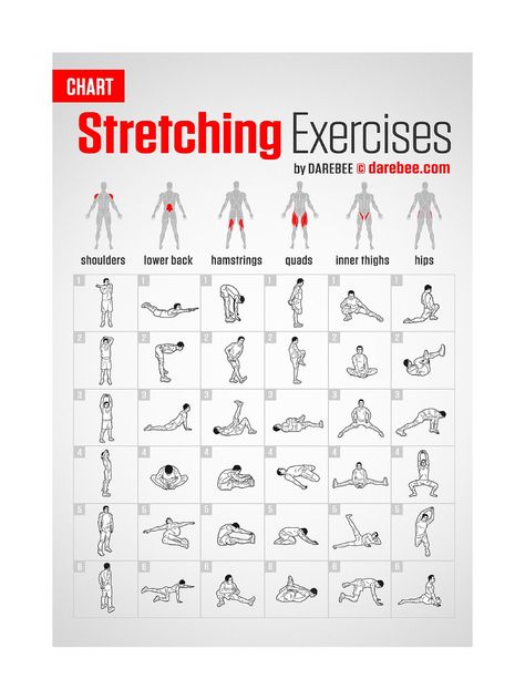 Full Body Stretching Routine, Habits Routine, Quad Muscles, Daily Stretches, Morning Stretch, Quad Stretch, Full Body Stretch, Reflexology Chart, Stretch Routine