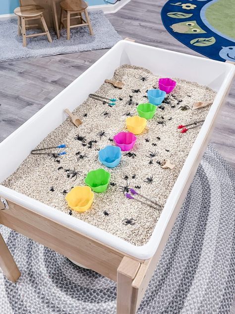 100 Sensory Table Ideas Montessori, Spider Sensory Bin, Spider Sensory, Sensory Table Ideas, Nursery Rhyme Activities, Rhyme Activities, Play To Learn Preschool, Sensory Water, Sensory Bin Ideas