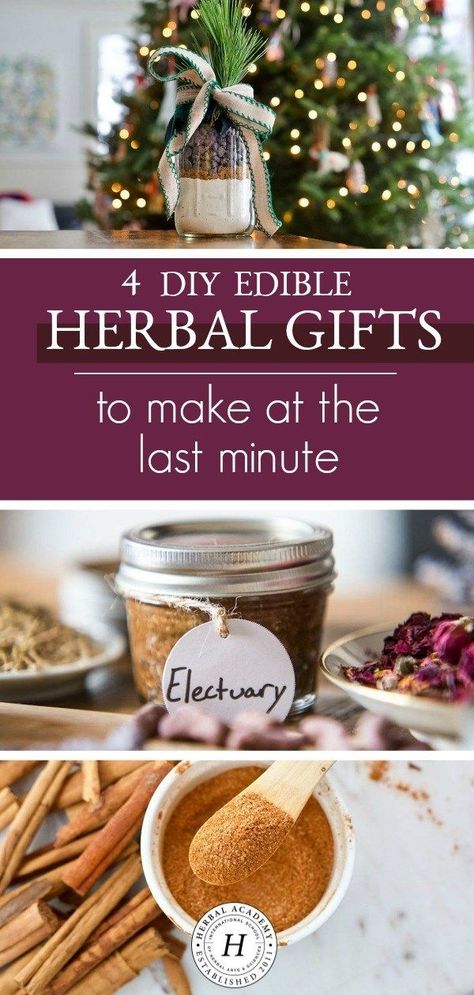 4 DIY Edible Herbal Gifts To Make At The Last Minute | Herbal Academy | For last-minute gift making, create edible herbal gifts such as delicious salts and sugars and yummy treats like electuaries and herbal cookies-in-a-jar. Herbal Cookies, Herbal Gifts, Infused Salt, Herbal Academy, Infused Sugar, Diy Food Gifts, Diy Edible, Hashbrown Recipes, Herb Gardens