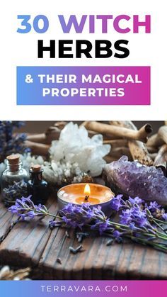 Herbs Magical Uses, Lucky Herbs Witchcraft, Spiritual Herbs Witches, Witchy Herbs And Spices, Flowers Magical Properties, Herb Magical Properties List, Magic Properties Of Herbs, Witch Craft Herbs, Herbs For Motivation Witchcraft