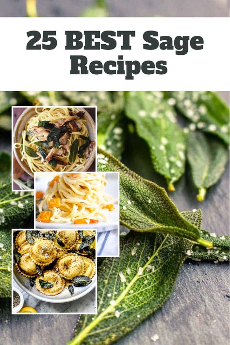 Balance heartiness and health with these 25 sage recipes, offering a combination of robust flavors and nutritious ingredients. How To Use Sage In Cooking, Appetizers With Sage, Dinner Recipes With Sage, Sage Recipes Healthy, Cooking With Sage Recipes, Cooking With Fresh Sage, Chicken With Sage Recipes, Sage Herb Recipes, Dried Sage Recipes