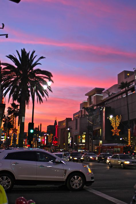 Tall Buildings, Palm Trees, Trees