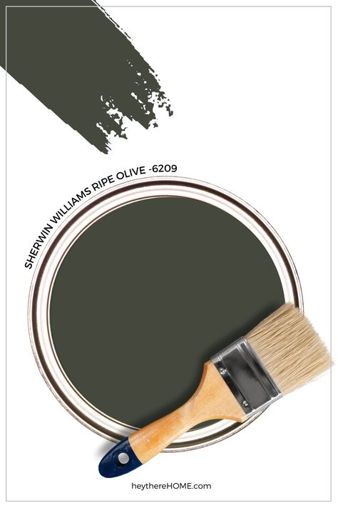 One of the prettiest deep green gray paint colors is Sherwin Williams Ripe Olive 6209. Get ready to be inspired as we look at how this color can be used in your home. Ripe Olive Paint Sherwin Williams, Deep Olive Paint Color, Deep Olive Green Paint Colors, Paint Color For Dark Floors, Sherwin Williams Green Accent Wall, Ripe Olive Sherwin Williams Bedroom, Sherwin Williams Deep Green, Green Black Paint Color, Ripe Olive Paint