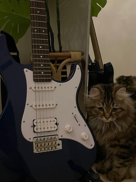 Electric Guitar Design, Guitar Obsession, Cool Electric Guitars, I'm With The Band, Music Aesthetic, Guitar Design, Cool Guitar, Pretty Cats, Grunge Aesthetic