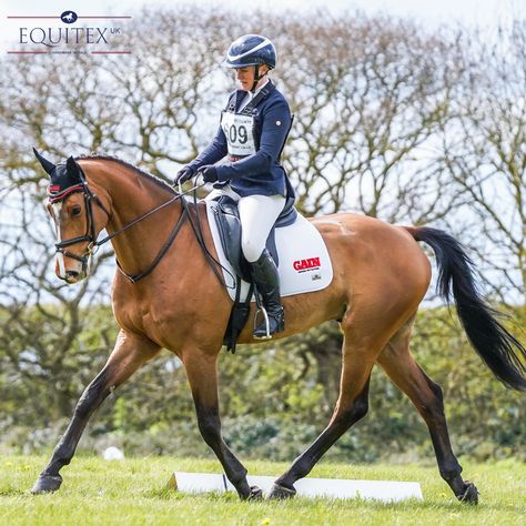 What an achievement for @gemmastevensequestrian winning three BE100 sections at Horseheath! 🥳 🏅 Cooley Park Muze, owned by the newly formed Rex Syndicate, jumps double clear to finish on an incredible 9.8 dressage score at his second ever event 👏 How fantastic does she look in her Equitex Saddle Pad in this image taken by @justmshannah 😍 #horses #dressage #equestriansofinstagram #achievement #incredible #GemmaStevens #hannahcolephotography #bayhorse #eventing #britisheventing #BE100 Dressage, Horses, Equestrian, Eventing Dressage, Bay Horse, Base Image, Saddle Pad, Saddle Pads, Saddle