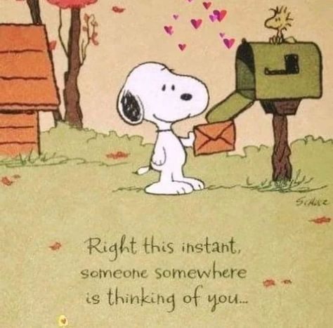 Charlie Brown Quotes, Snoopy Dog, Thinking Of You Quotes, Snoopy Cartoon, Snoopy Funny, Snoopy Images, Peanuts Cartoon, Snoopy Wallpaper, Snoopy Quotes