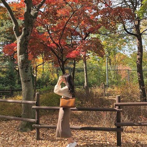 Japanese Autumn Aesthetic, Soft Minimalist Aesthetic, Chill Lifestyle, Coffee Tiramisu, Aesthetic Ethereal, Autumn In Korea, Nami Island, Autumn Instagram, Japanese Lifestyle