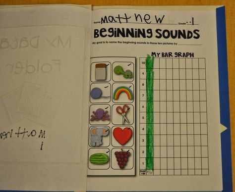 Goal Setting Checklist FREEBIE! | Mrs. Ricca's Kindergarten | Bloglovin’ Kindergarten Goals, Writing Kindergarten, Data Folders, Student Data Tracking, Goal Setting For Students, Data Binders, Data Notebooks, Classroom Goals, Behavior Charts