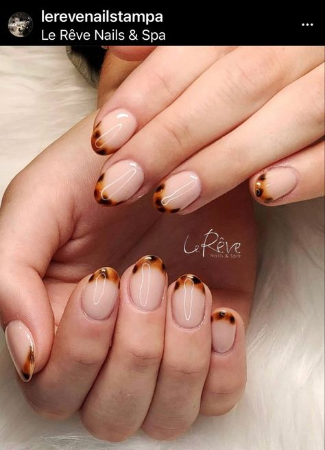 Tortoise Shell Nails French Tip Short, Tortoise Shell Nail Tips, Tortishell Nails Design French, Tortoise Shell Nails French Tip, Tortoise Shell French Tip Nails, Tortoise French Tip Nails, Parisian Nails, Modern French Manicure Trends, Fall French Manicure