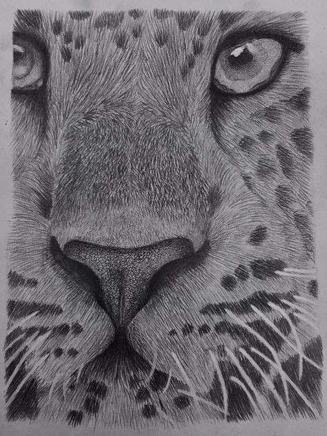 Leopard Tonal Drawing #tone #tonal #leopard #animal #animalportrait #portrait #blackandwhite #leoparddrawing Tonal Drawing, Drawings Of Animals, Leopard Drawing, Observational Drawing, Animal Drawing, Gcse Art, Horror Music, Leopard Animal, African Animals