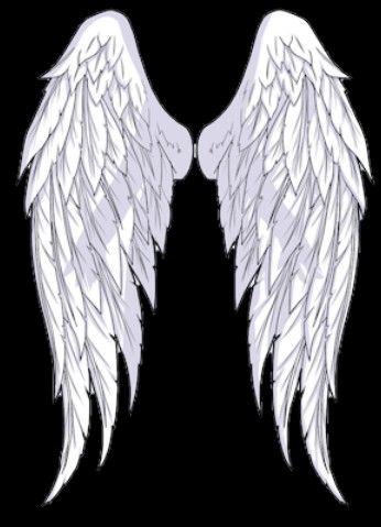 Angle Wings Tattoo Women, Angle Wings Draw, Wings Back View, Angel Wing Tattoo Designs, Angel Wings Tattoo Stencil, Angel Wing Outline, Y2k Angel Wings, Angle Wing Tattoos, Angel Wings Tattoo On Back