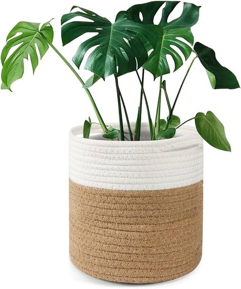 Tenn Well 20cm Pot de Fleurs de avec Doublure, Panier de Rangement tissé en Coton Cache Pot Plante pour Plantes d'intérieur, décoration de la Maison (20 cm x 20 cm) : Amazon.fr: Jardin Belly Basket, Large Plant Pots, Plant Pot Covers, Indoor Planter, Woven Baskets Storage, Plant Basket, Cache Pot, Decorative Pots, Large Baskets