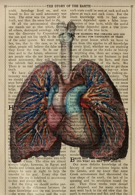 Cardiology Art, Vintage Medical Art, Biology Poster, Human Skeleton Anatomy, Dictionary Book, Medical School Life, Nursing School Motivation, Medical Posters, Medical Wallpaper