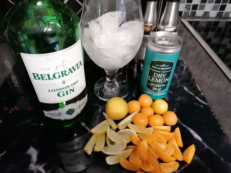 Belgravia Gin And Dry Lemon, Belgravia Gin, Dried Lemon, London Dry Gin, Dry Gin, Food Snapchat, Audi A3, Gin, Liquor