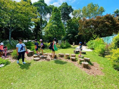 Jacob Ballas Children's Garden - A garden dedicated to children Childrens Garden, How Plants Grow, Singapore Botanic Gardens, Herb Wall, Children's Garden, Farm Garden, Big Garden, Kids Focus, Garden Images