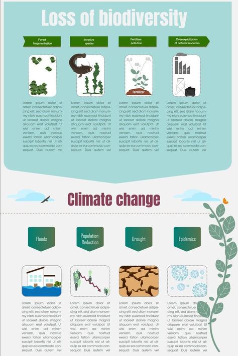 Biodiversity loss is an ecosystem problem. Wildlife extinction due to habitat loss, invasive species, over-exploitation, climate change and pollution.Vector illustration Biodiversity Loss, Illustration Advertisement, Invasive Species, Natural Resources, Ecosystem, Pollution, Habitat, Vector Illustration, Clip Art