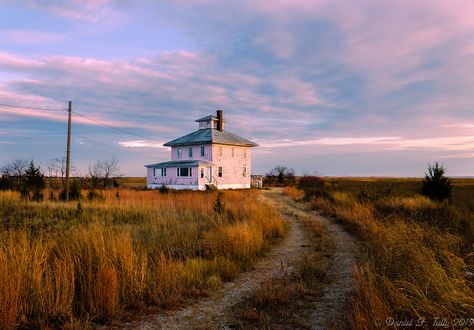 Plum Island Pink House, Plum Village, On The Banks Of Plum Creek, Cape May Point State Park, The Olde Pink House Savannah, Plum Island, Film Camera Photography, Cape Ann, Pink Houses