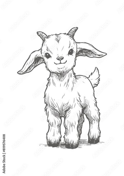 goat Vector, baby goat vector illustration, goat emblem design, baby goat vector Stock Vector | Adobe Stock Goat Woman Art, Goat Simple Drawing, Cute Goat Illustration, How To Draw A Goat, Goat Drawing Sketch, Goat Illustration Cute, Baby Goat Tattoo, Baby Goat Drawing, Mountain Goat Drawing