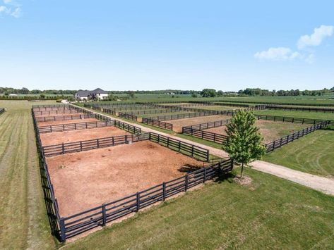 Horse Farm Layout, Cattle Facility, Equine Stables, Dream Barn Stables, Stable Yard, Horse Shed, Horse Pens, Livestock Barn, Horse Farm Ideas