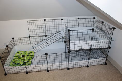 DIY C&C Cage | Alexandria's Animals Guinea Pig Cage Ideas, Hedgehog Cage, Diy Guinea Pig Cage, Guinea Pig Ideas, Guinea Pig Diy, Guinea Pig Hutch, C&c Cage, Bunny Cage, Pig Ideas