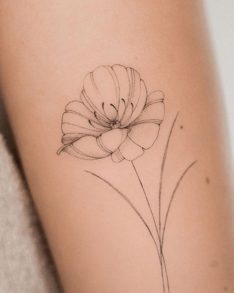 Tattoo • Instagram Ink Quotes, Germany Tattoo, Texas Tattoos, Single Needle Tattoo, Vegan Tattoo, Poppies Tattoo, Tattoo Instagram, Line Work Tattoo, Blackwork Tattoo