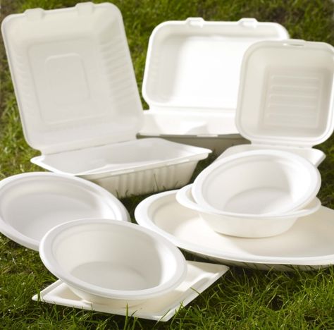 Biodegradable bagasse food boxes/plates Bagasse Packaging, Fast Food Packaging, Disposable Bowls, Catering Supplies, Products Photography, Compostable Packaging, Wheat Straw, Event Supplies, Disposable Cups