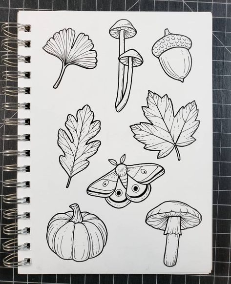 Lizzy Dalton on Instagram: “Some small designs, trying to create some simple options for early apprentice tattoos. I'd really love to make complex, detailed tattoos,…” Apprentice Tattoos, Acorn Drawing, Acorn Tattoo, Detailed Tattoos, Detailed Tattoo, Halloween Artwork, Autumn Stickers, Tattoos With Meaning, Simple Tattoos