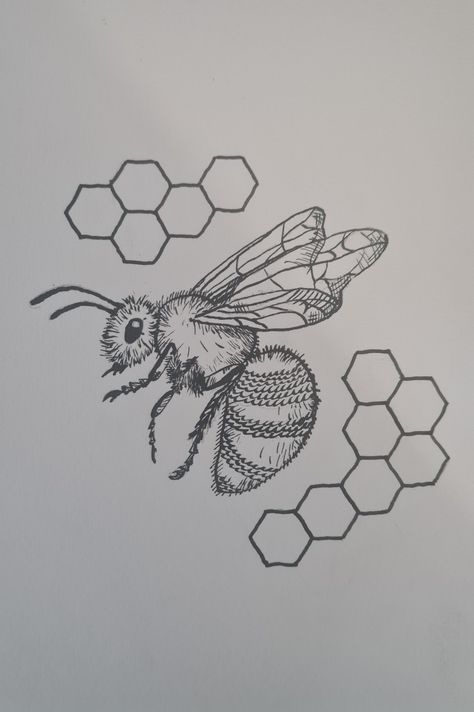 This is a stylised Honeybee drawing with honey hexagons next to it. The drawing is made from ink Honey Bee Drawing Honeycombs, Honeybee Drawing, Bee Drawing Easy, Honeycomb Drawing, Honeycombs Drawings, Honey Bee Drawing, Bee Shirts, Animals Sketch, Honeycomb Tattoo