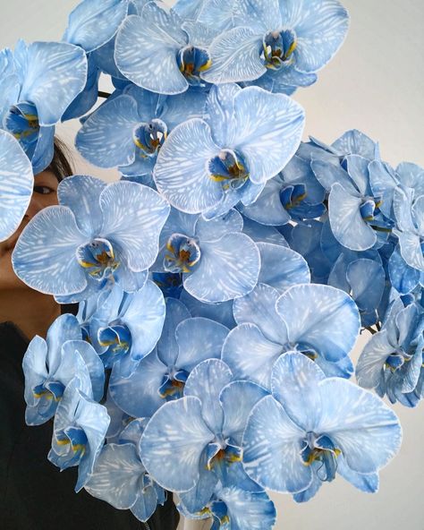 Blue dyed phalaenopsis orchids ! Gorgeous flowers Phalaenopsis Orchid Varieties, Blue Orchids Aesthetic, Blue Orchid Bouquet, Wedding Orchids, Blue Orchid Flower, Orchid Blue, Orchid Flower Arrangements, Yellow And Blue Flowers, Orchid Varieties