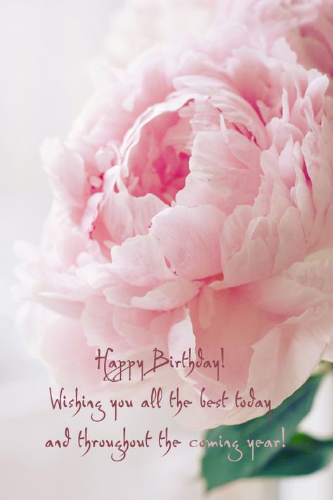 ┌iiiii┐ Happy Birthday birthday cards for women with wishes Pink Peonies, Have Inspiration, Colorful Roses, Pink Peony, Deco Floral, E Card, Beautiful Blooms, Event Styling, Love Flowers