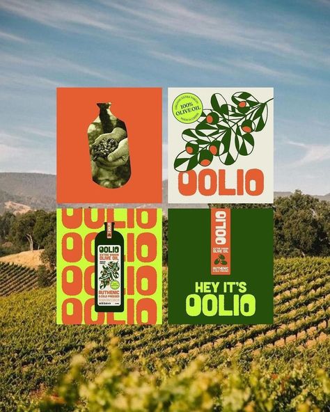 OOLIO 🫒 a premium Greek extra virgin olive oil sourced from the sun-drenched groves of Greece. Amazing design by @clairedesign.nz The use of vibrant colors has further enhanced the brand’s looks, and the illustrations complement the concept perfectly. Well done! 👏 Olive Packaging Design, Vegetable Branding, Olive Oil Illustration, Olive Oil Design, Olive Oil Branding, Olive Oil Packaging Design, Olive Illustration, Oil Aesthetic, Olive Design