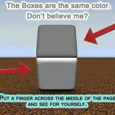 Illusions Mind, Color Optical Illusions, Amazing Optical Illusions, Eye Tricks, Friday Pictures, Cool Illusions, Cool Optical Illusions, Visual Illusion, Brain Tricks